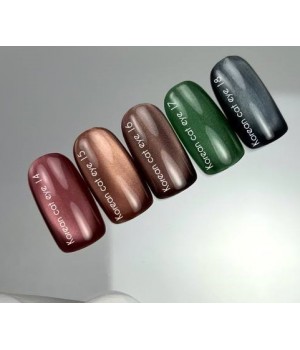 Гель-лак NAILSOFTHEDAY Korean cat eye №18 TPO free